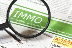 Immobilier locatif / Taxe sur les micro-logements : 1.325 € seulement perçus par l'Etat en 2013 !