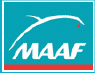 Assurance-vie : MAAF, rendement 2009 de 4,31% net sur le fonds en euros