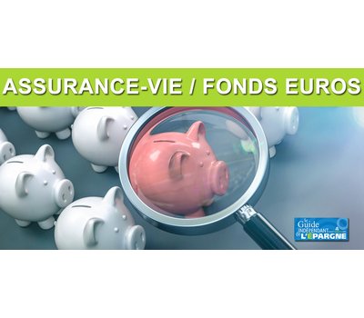 Assurance vie : publication des rendements 2025 des fonds euros