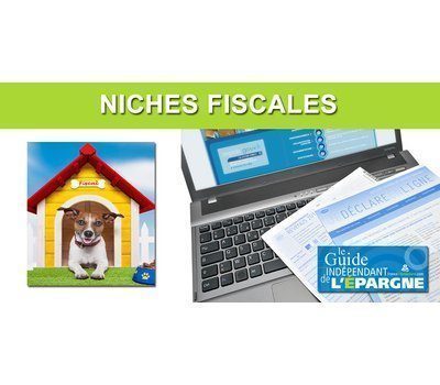 TOP 25 des niches fiscales 2026