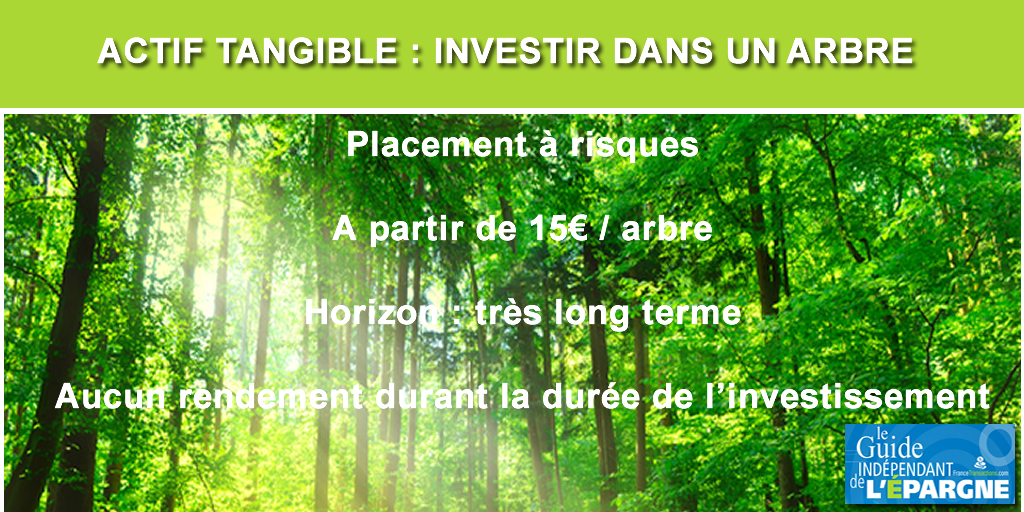 Épargne verte : épargner régulièrement en achetant un arbre, tous les mois ?