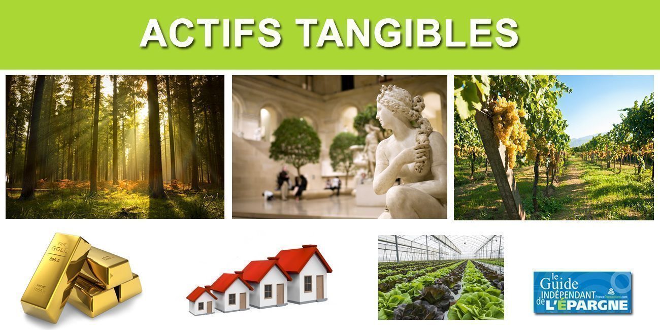 Placer sur des actifs tangibles : lesquels choisir ? Placer sur des actifs tangibles : lesquels choisir ?