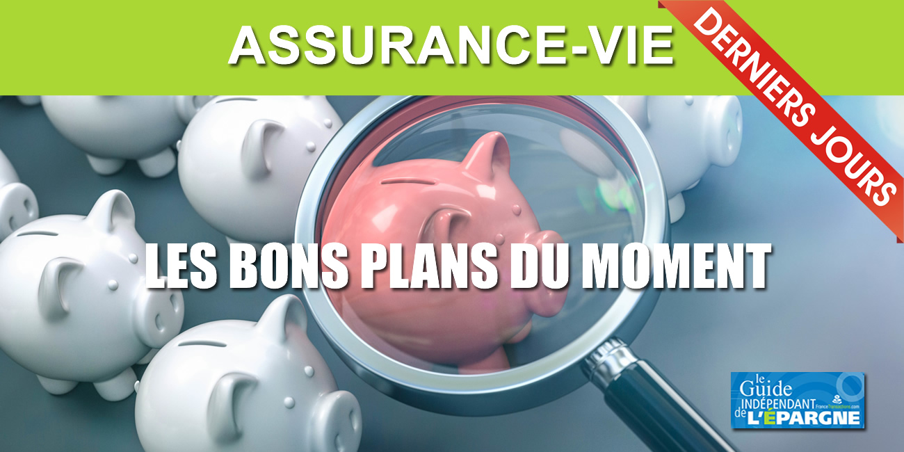 Assurance vie, bon plan : jusqu'à 1000 € offerts sous conditions, à saisir avant le 31 août 2026 Assurance vie, bon plan : jusqu'à 1000 € offerts sous conditions, à saisir avant le 31 août 2026